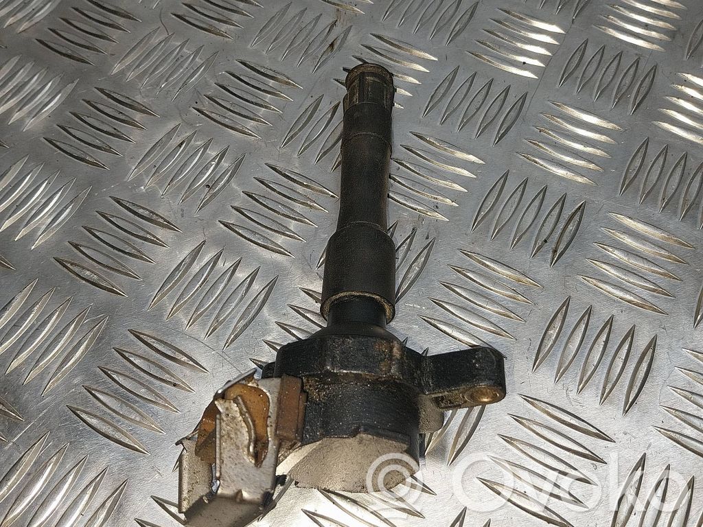 Zündspule Zündmodul   1748017,11860,0221504029,11860T,12131703227,12131703228,12131748017,12131748018,12137599219,12139067830,133804,1404309,1491600300,1703227,1703228,1703825,1748018,1970352,1970413,500960755,7599219,880045B,9067830,GCL307,NEC000020,NEC000040,NEC101000,NEC101000L,NEC101010,ZS302