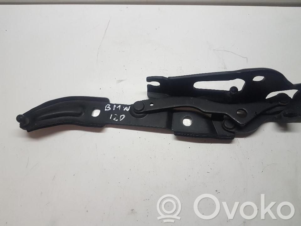 Tailgate/trunk/boot hinge   716675103,A3211