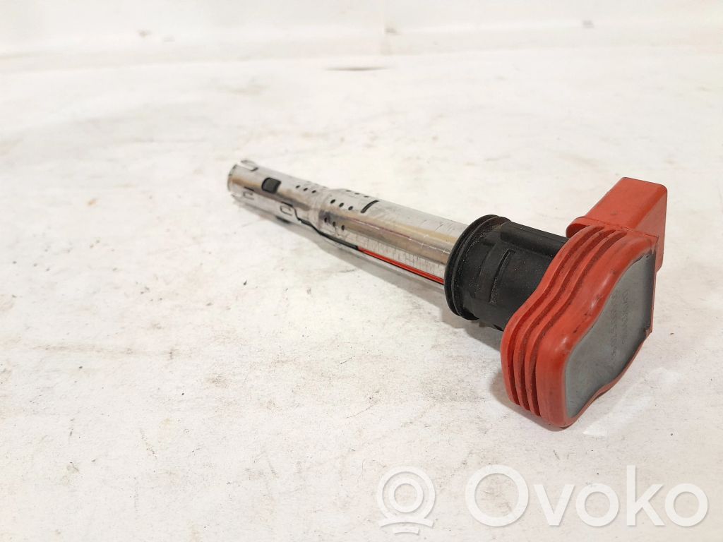 Audi A4 S4 B7 8E 8H Zündspule Zündmodul 
