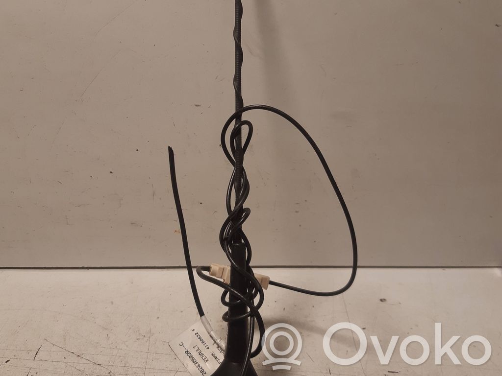 Radion antenni   E3033032