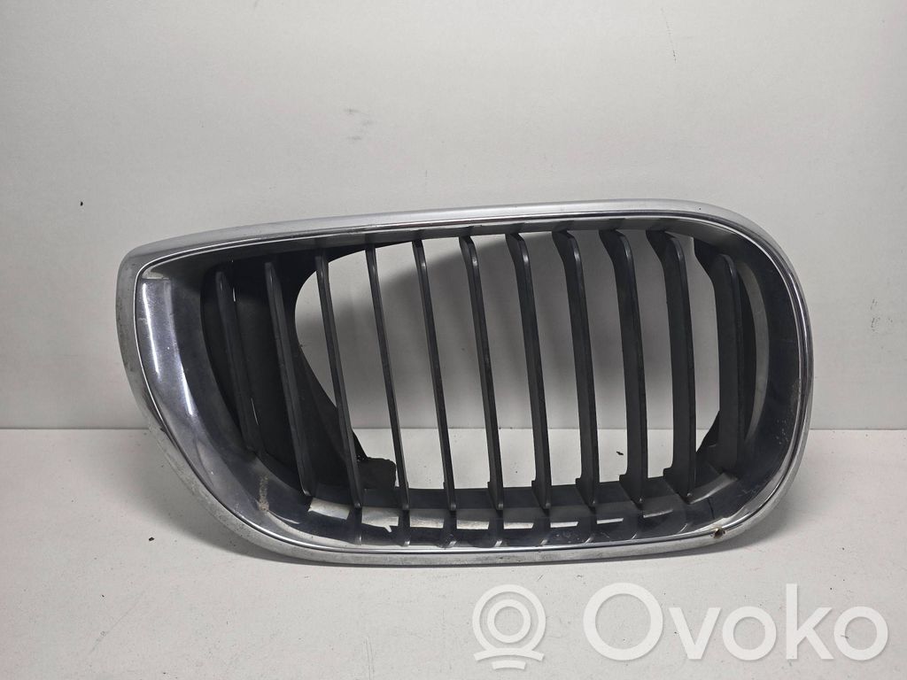 BMW 3 E46 Front grill 