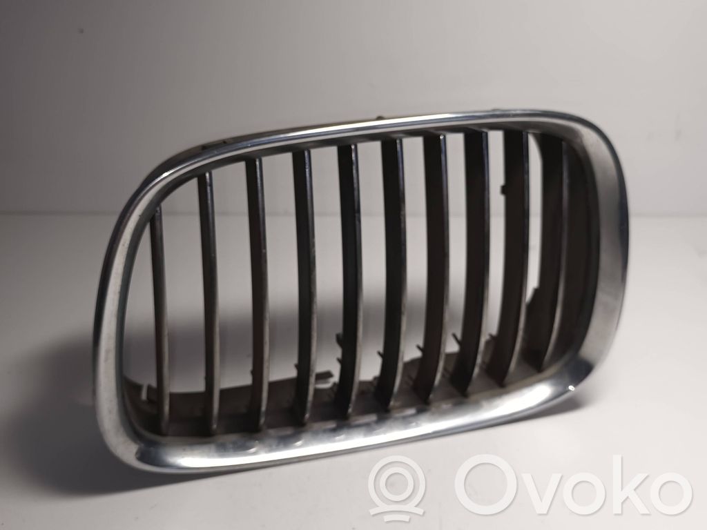 Kühlergrill   8159311