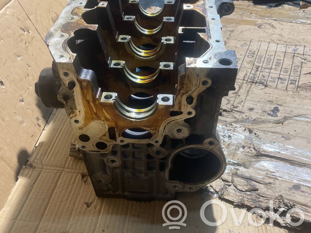 Volkswagen Polo IV 9N3 Bloque de motor 