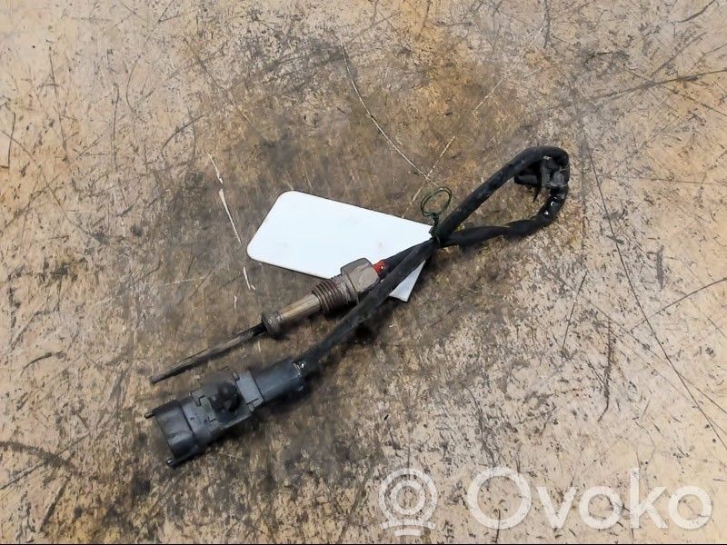 Abgastemperatursensor   392212A860