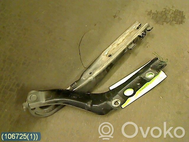 Peugeot 407 Balamale capotă 
