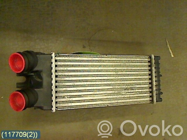Peugeot Partner Chłodnica powietrza doładowującego / Intercooler 