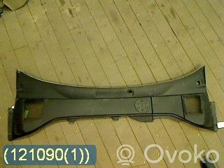 Moldura del limpia   31278077