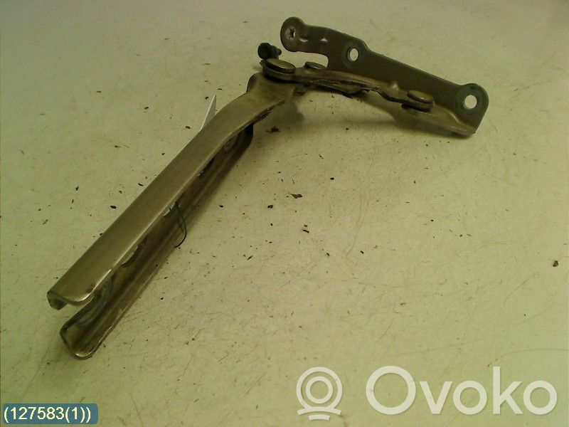 Skoda Octavia Mk2 (1Z) Cerniere del vano motore/cofano