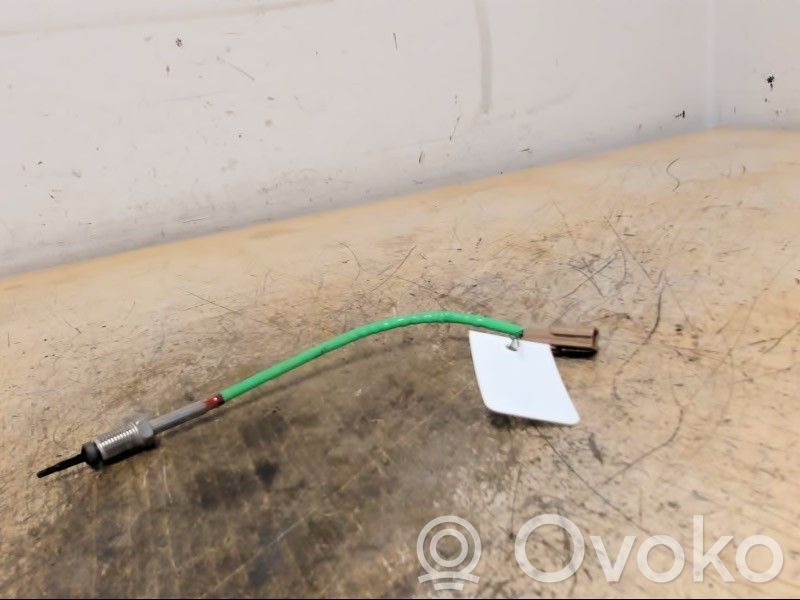 Abgastemperatursensor   226404367R,226404367R