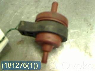 Citroen C5 Aktīvā oglekļa (degvielas tvaiku) filtrs 