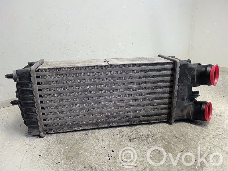 Chłodnica powietrza doładowującego / Intercooler   E256083,874964GJVALEO,9645965180