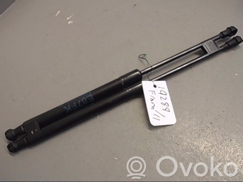 Vérin, capot-moteur   51237118370,51237118370