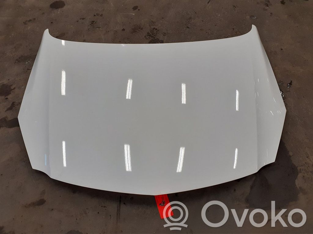 Capotă motor   13276949