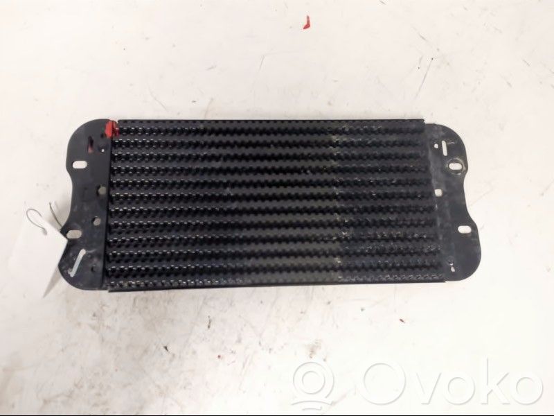 Renault Master III Răcitor combustibil (radiator) 