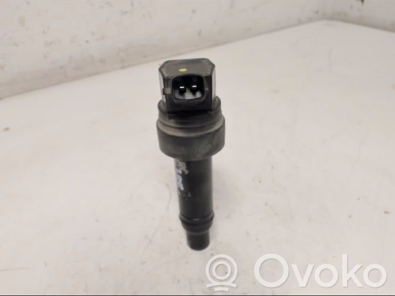 High voltage ignition coil   273012B110,273012B110