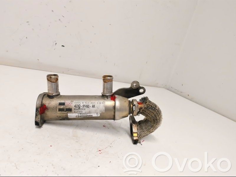 Peugeot 407 Valvola di raffreddamento EGR 