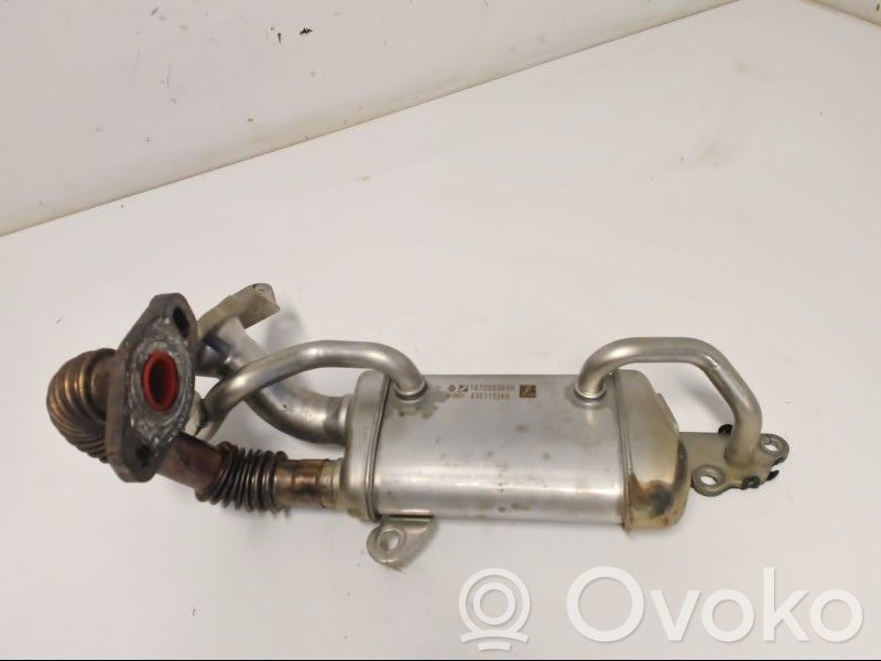 Nissan NV200 EGR aušintuvas 