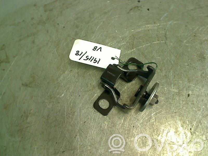Tailgate/trunk/boot hinge   9678795880,9678795880
