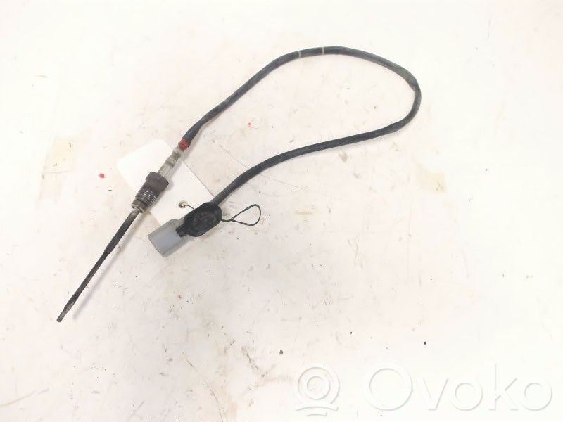 Abgastemperatursensor   226401632R,226401632R