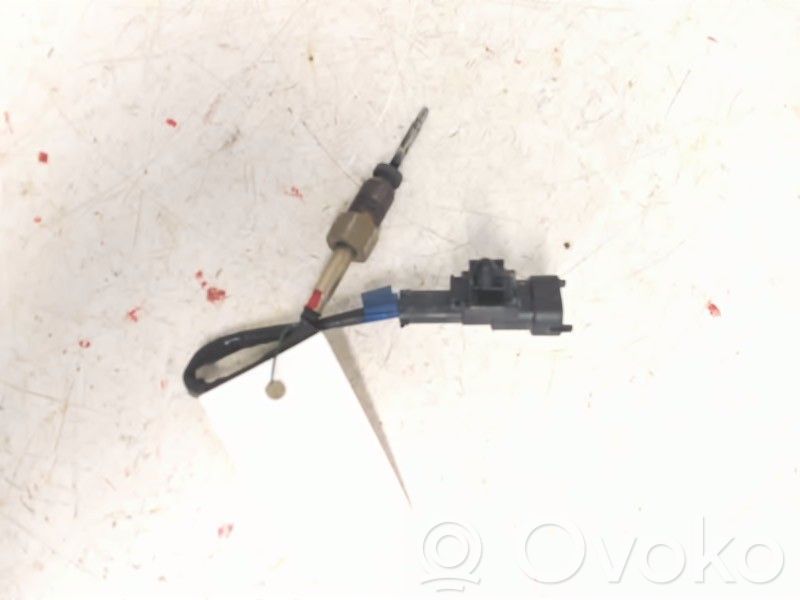 Abgastemperatursensor   392202A800