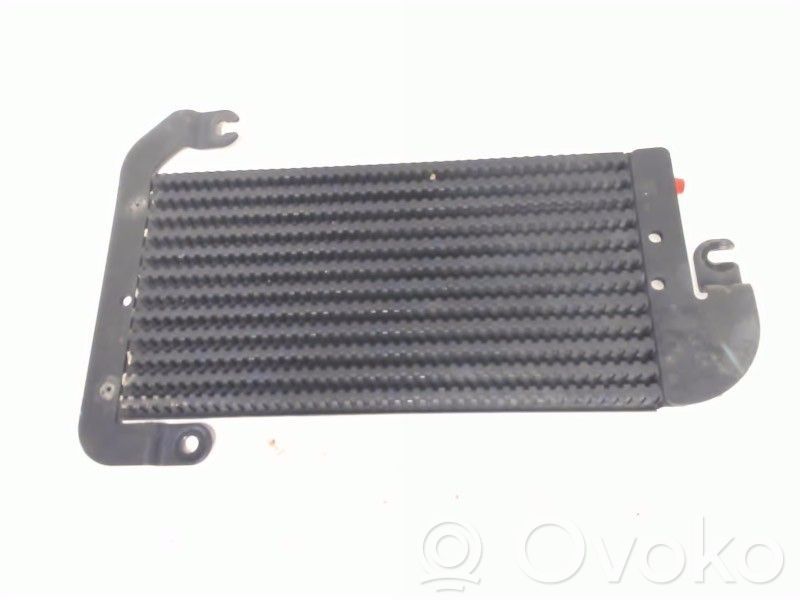 Renault Trafic III (X82) Radiatore del carburatore (radiatore)