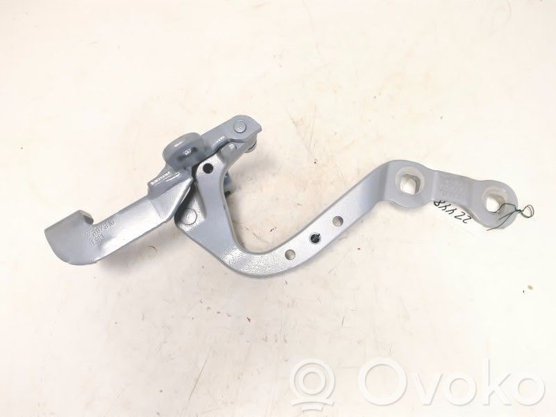 Tailgate/trunk/boot hinge   41007494944,7397316