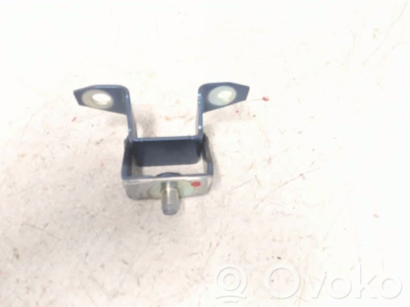 Tailgate/trunk/boot hinge   DM0P62210