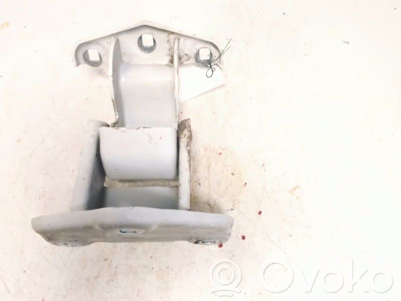 Renault Trafic III (X82) Rear door lower hinge 