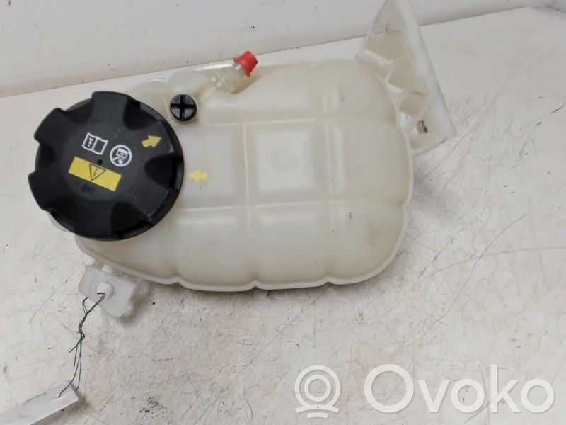 BMW 3 F30 F35 F31 Vas expansiune/rezervor lichid de răcire