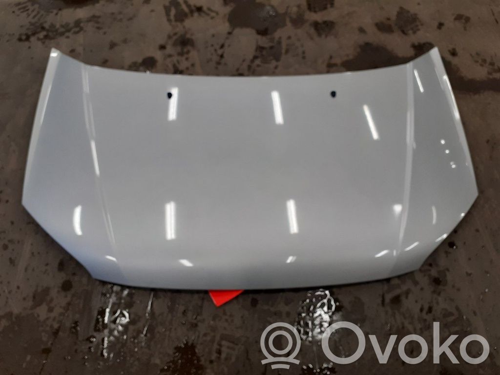 Hyundai Getz Vano motore/cofano
