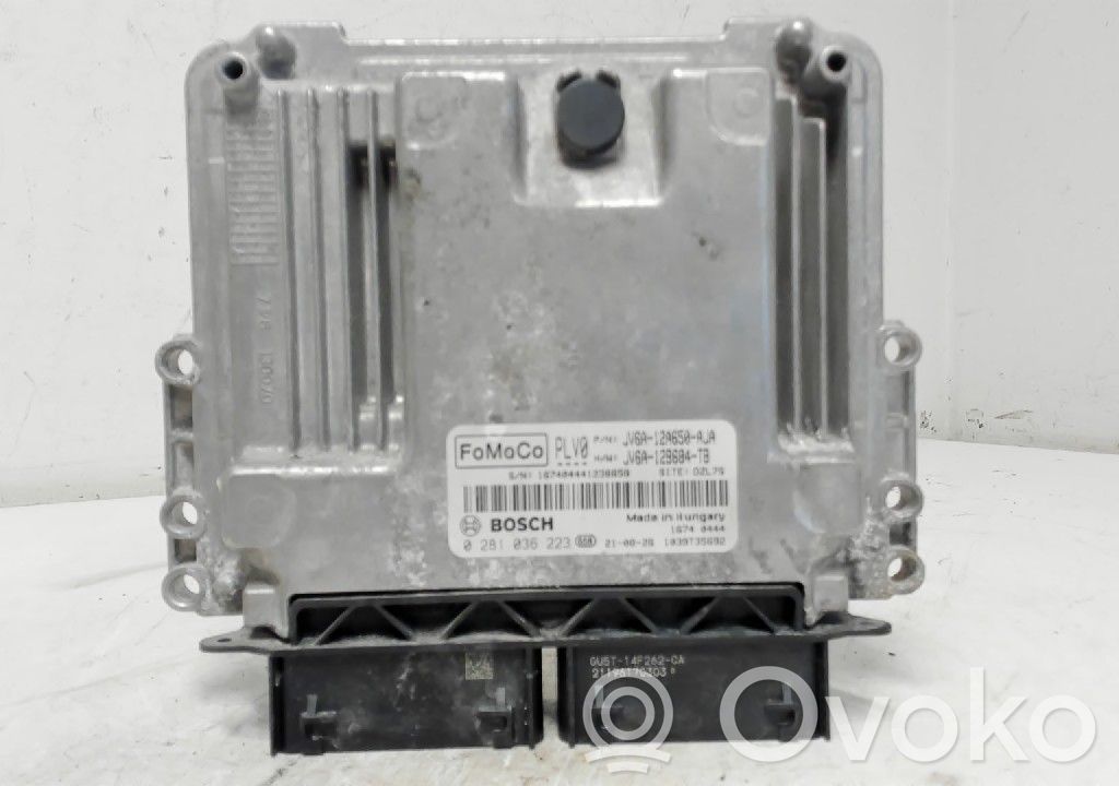 Unité de commande / module d'injection   2313997,281036223,JV6A12A650AJA