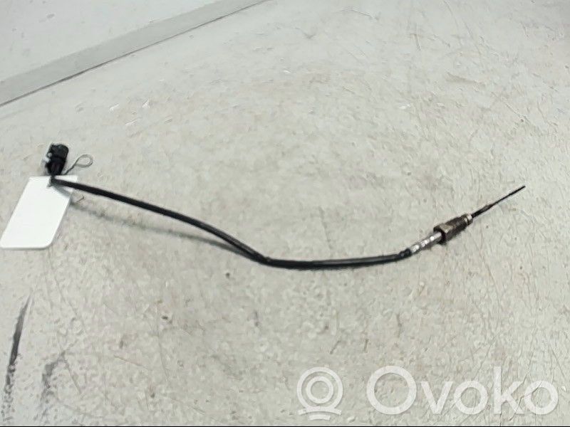 BMW 5 F10 F11 Sensore di temperatura dei gas di scarico 