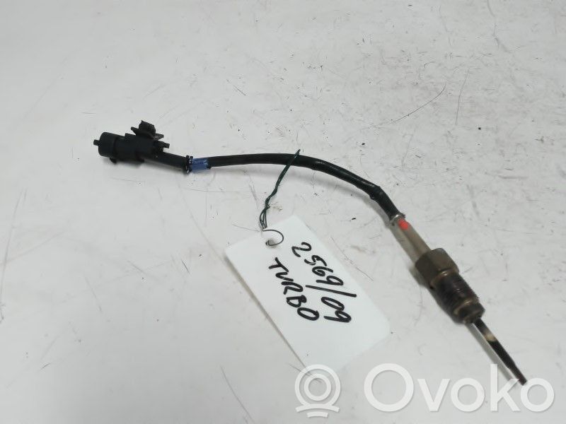 Abgastemperatursensor   392202A800