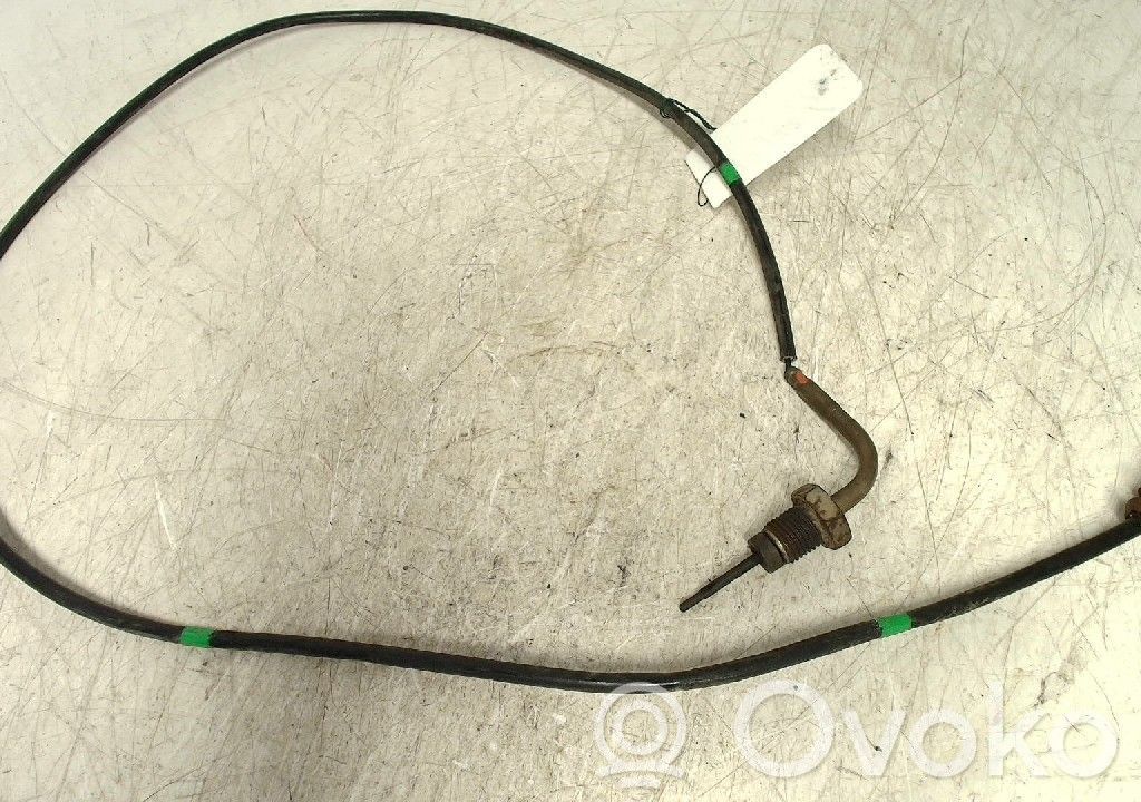 Volkswagen Transporter - Caravelle T6 Sensore di temperatura dei gas di scarico 