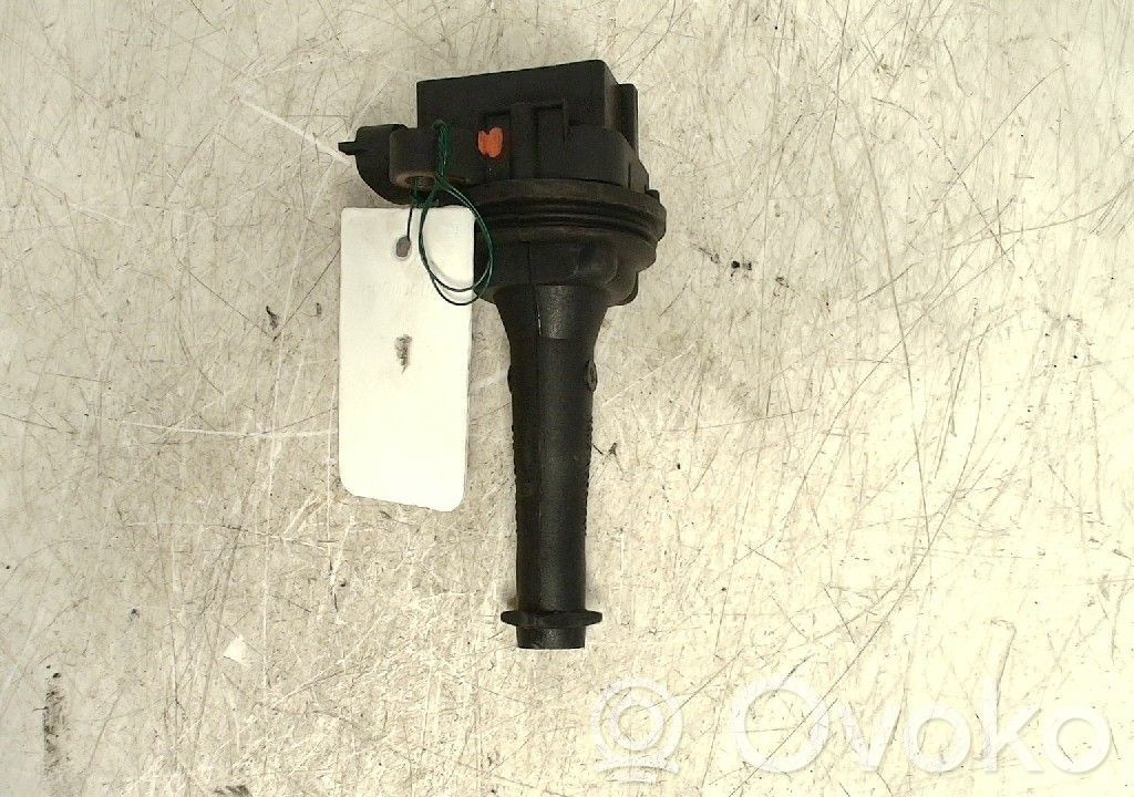 Zündspule Zündmodul   30713416,221604001,9125601
