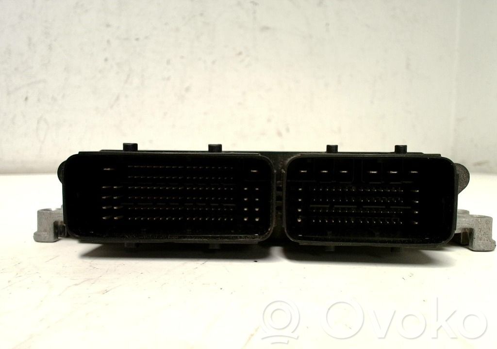 Injection control unit/module   1613645280,0281034189,9825318180