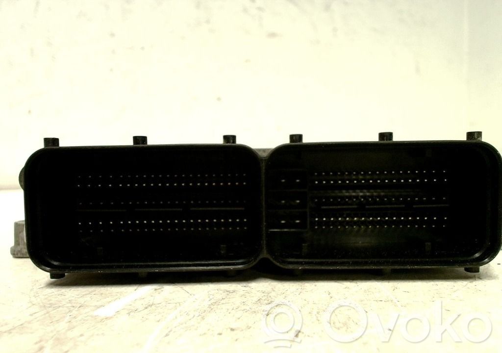 Injection control unit/module   391602A930,0281033840,391602A930