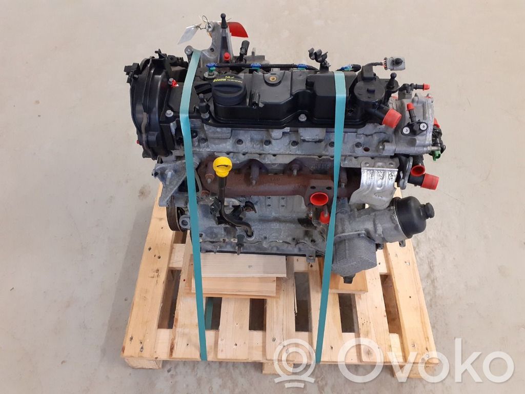 Ford Transit -  Tourneo Connect Engine 