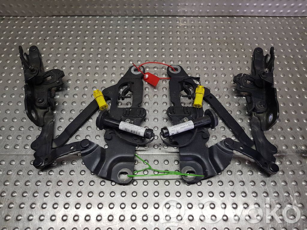 BMW 5 F10 F11 Balamale capotă 