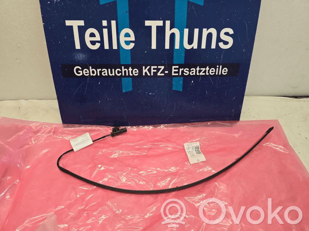 Bluetooth antenna   4K5962239