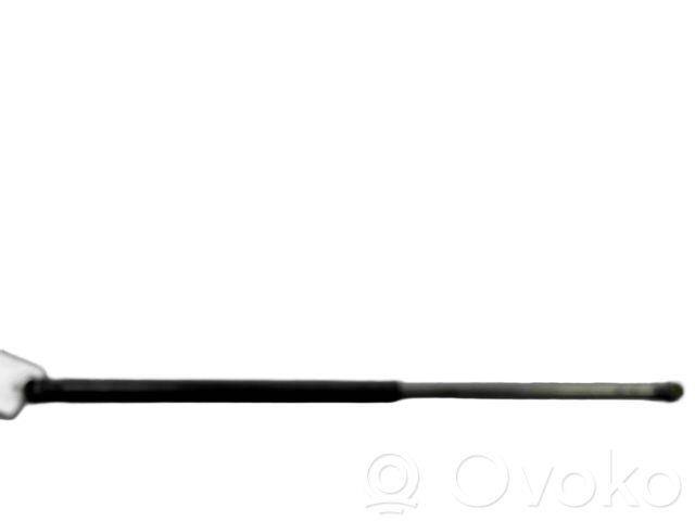 Citroen C1 Tailgate/trunk strut/damper 