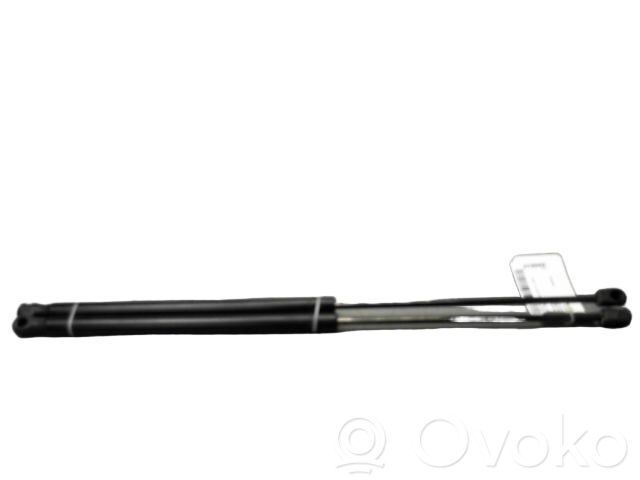 Ford Focus Ammortizzatore portellone posteriore/bagagliaio 