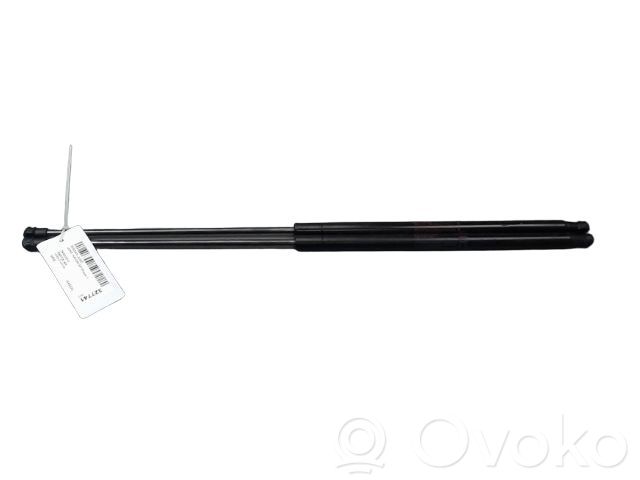 Nissan Juke I F15 Ammortizzatore portellone posteriore/bagagliaio 