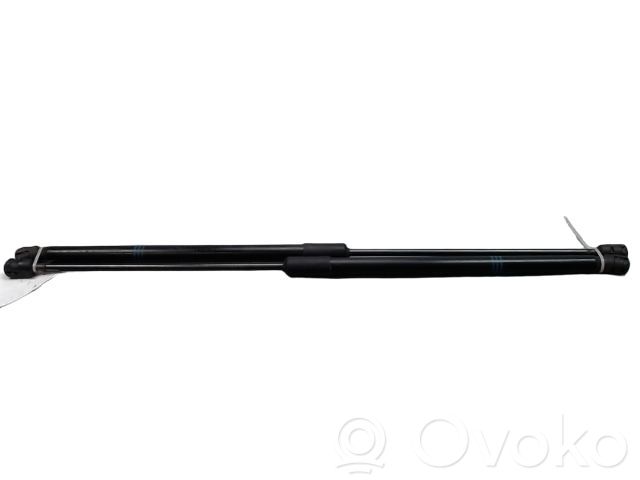 Opel Corsa F Tailgate/trunk strut/damper 