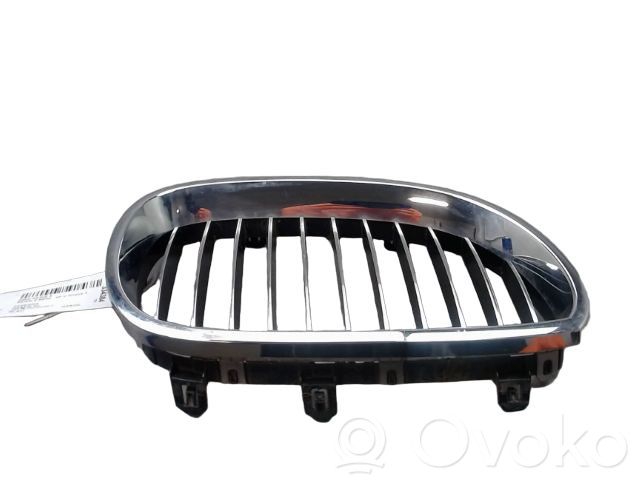 BMW M5 Grilă radiator față 