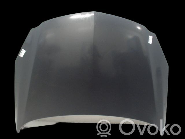 Opel Insignia A Vano motore/cofano