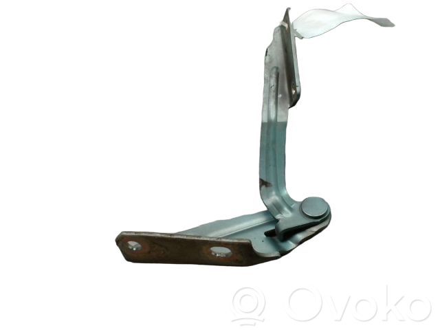 Ford Focus Engine bonnet/hood hinges 