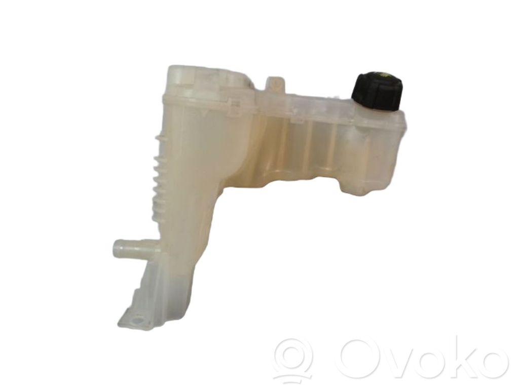 Renault Laguna III Serbatoio di compensazione del liquido refrigerante/vaschetta