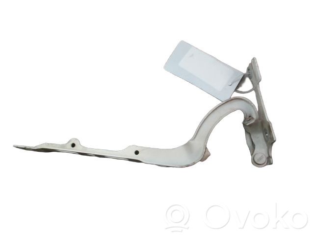 Peugeot 208 I Cerniere del vano motore/cofano