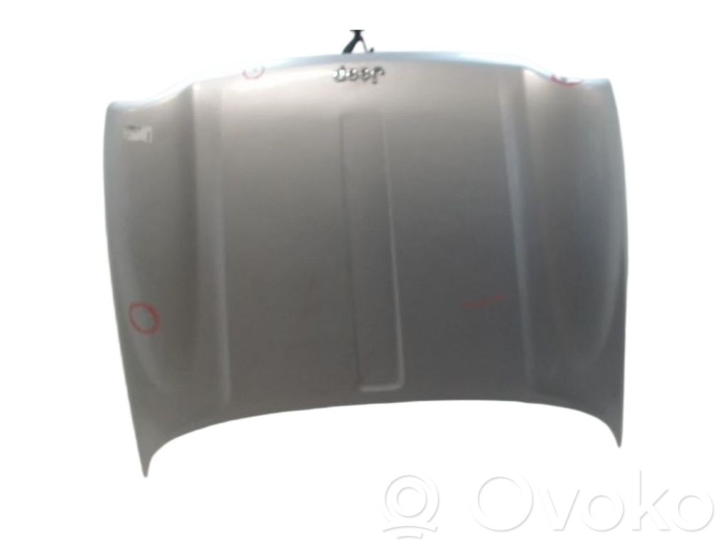 Capó/tapa del motor   55177200AF,55177200AF